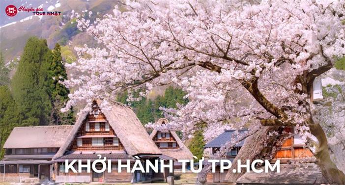 Tour Nhật Bản Mùa Hoa Anh Đào: Cung Đường Làng Cổ Shirakawa-go Từ HCM